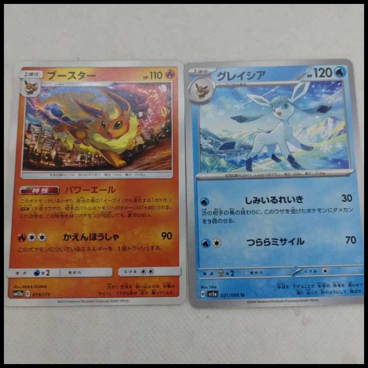 Pokémon Card Buoys Summary Set 250208705