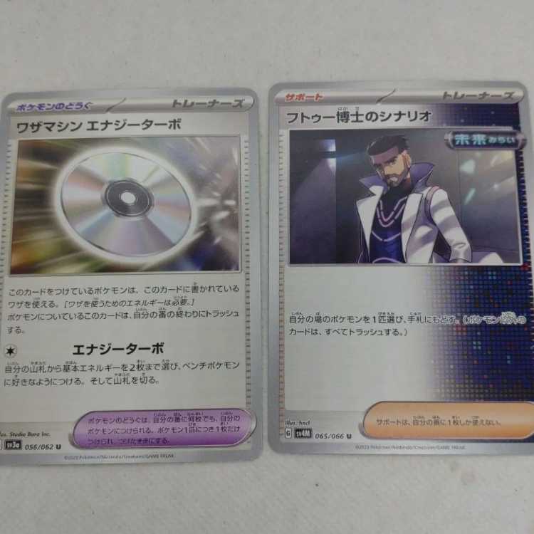 Pokémon Card Trainers Summary Set 250208715