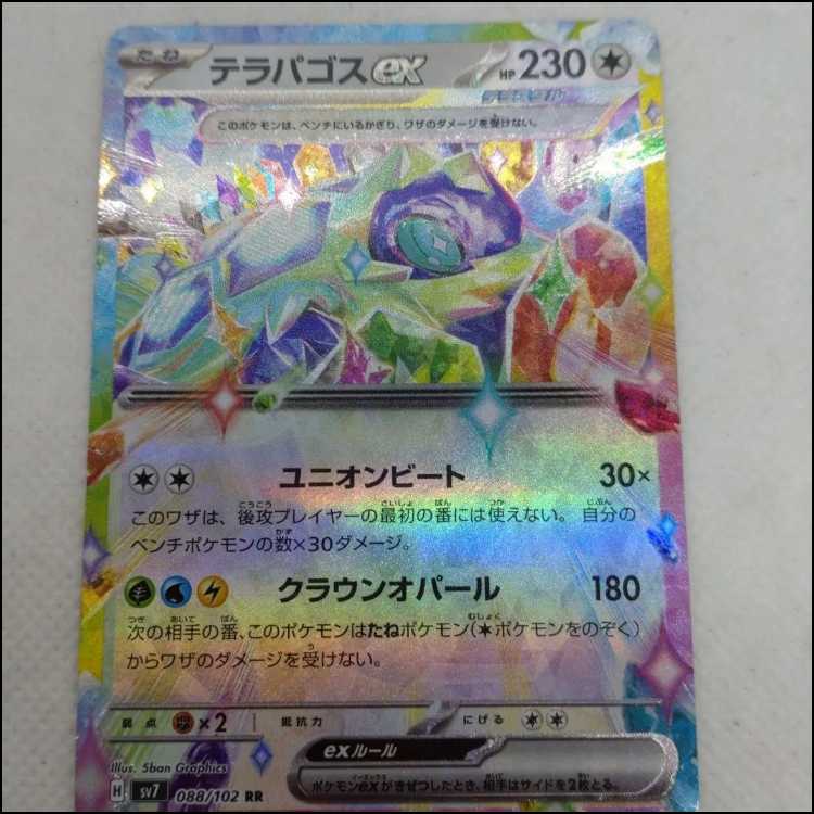 Pokémon Cards Zero Hollow & Terrapagos ex Summary Set 250208724