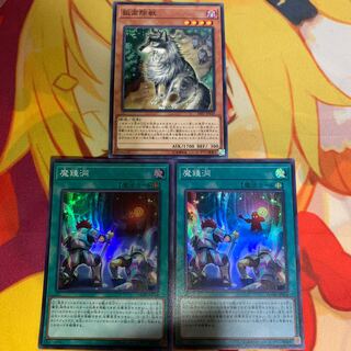 【セット】魔鍾洞&孤高除獣