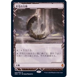 MTG foil 不毛の大地 Waste land 3枚セット EX](FOIL)(フルアート)不毛の大地/Wasteland《日本語》【ZNE】の