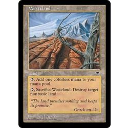 MTG Wasteland 不毛の大地 英語版 2枚 TMP テンペスト セット 高速配送 不毛の大地/Wasteland《英語》【SLD】 マジック：ザ