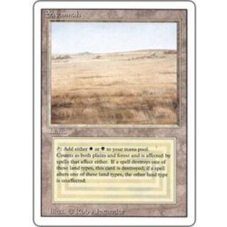 tundra リバイズド　デュアルランド 2025年最新】デュアルランド リバイズドの人気アイテム - メルカリ