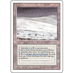 【うち１枚の裏面にひどい痛みあり等】Tundra　３ED　英語４枚 うち1枚の裏面にひどい痛みあり等】Tundra 3ED 英語4枚