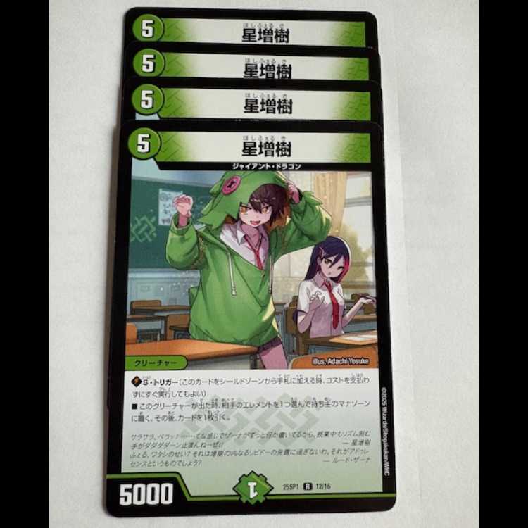 Hoshi Masuki (set of 4) 25SP1 R 12/18 DUEMA Trekking Road