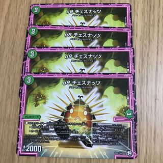 οθ チェスナッツ(オクシー チェスナッツ)①