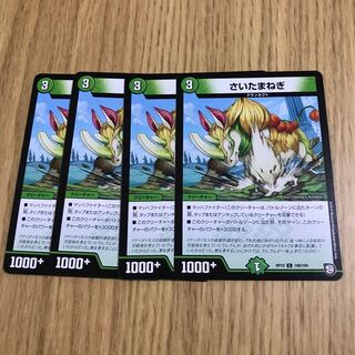 さいたまねぎ①