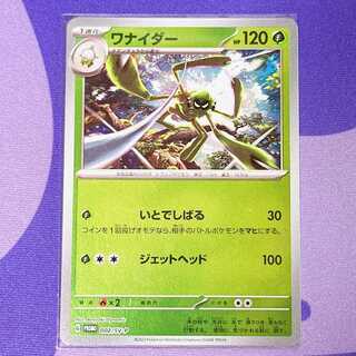 Wanider PROMO 002/SV-P