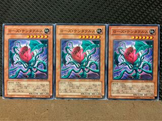 【ぽぽたん】遊戯王 9952 ローズ・テンタクルス 3枚 ノーマル
