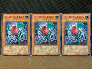 【ぽぽたん】遊戯王 9960 ローズ・テンタクルス 3枚 ノーマル