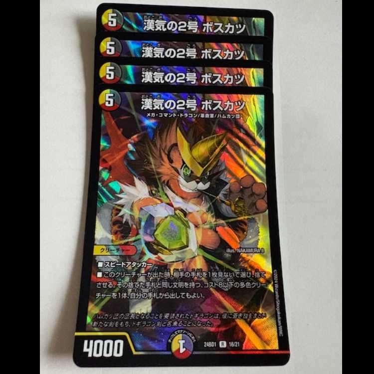 HANKI NO.2 BOSKATSU (set of 4) 24BD1 R 16/21 DUEMA Trekkers Road