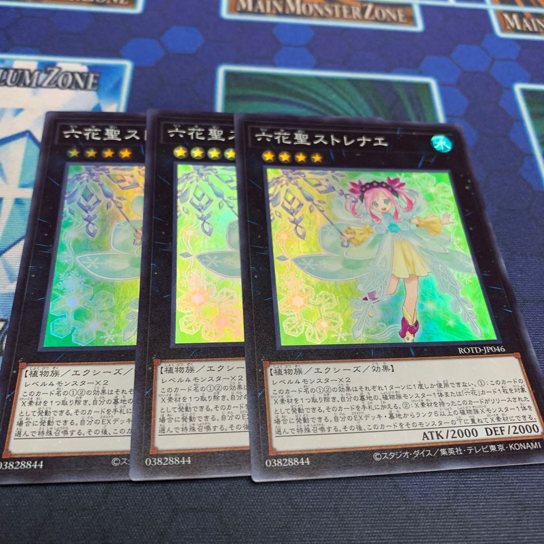 Rikka Queen Strenna SR