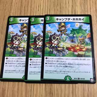 キャンプダ・ホホホイ