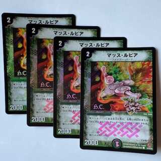 Mass Lupia H.C. (set of 4) 53/55/Y8 DUEMA Trekking Road