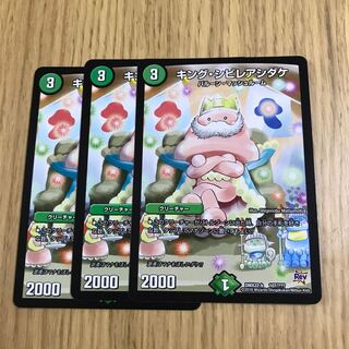 シビレアシダケ