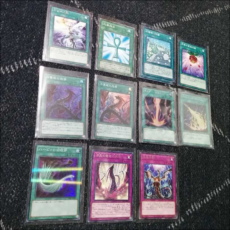 遊戯王 ローズドラゴン デッキ 月華竜 ブラックローズ [03961]の