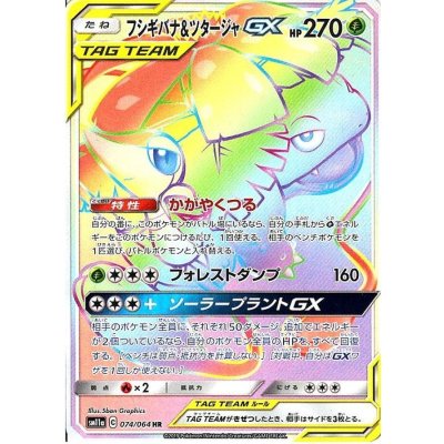 フシギバナ＆ツタージャGX HR PSA10 状態A-〕フシギバナ＆ツタージャGX【HR】{074/064}の通販 カード