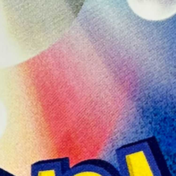 スイクンV SAR 215/172