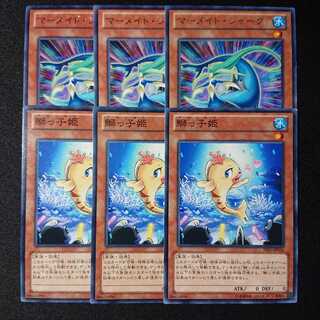 マーメイド・シャーク & 鰤っ子姫