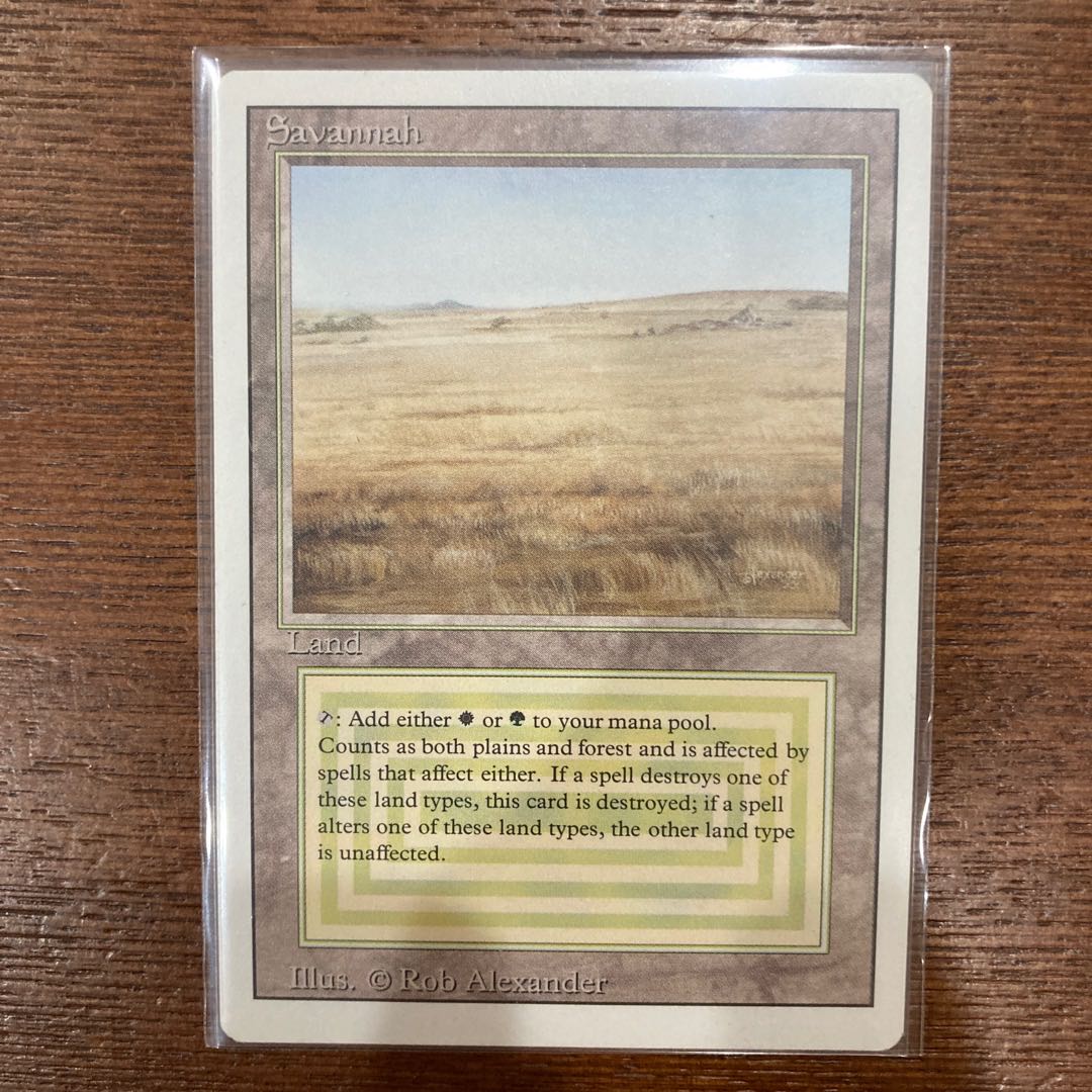 Savannah 【3ED】