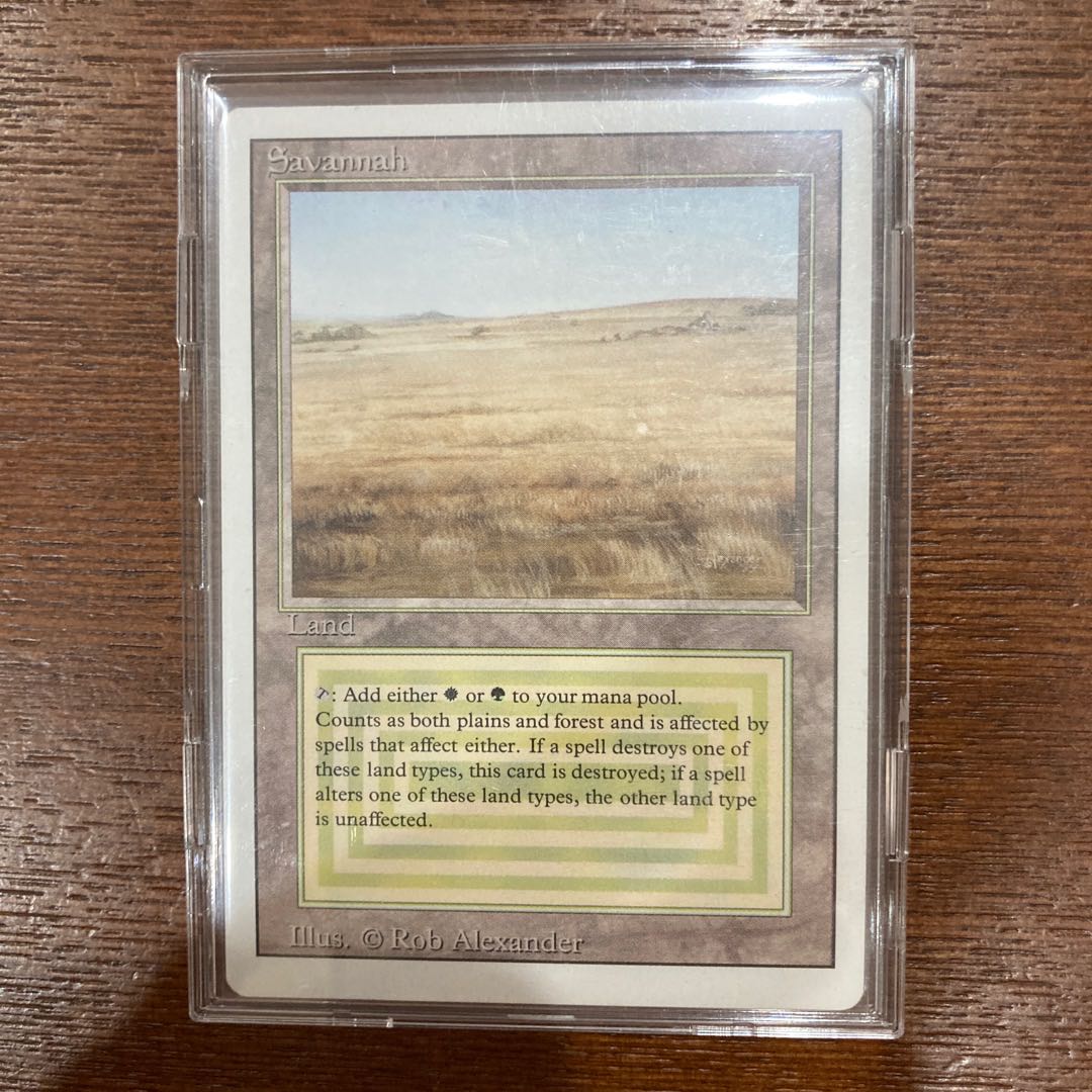 Savannah 【3ED】