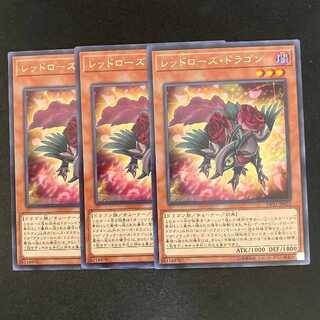 Red Rose Dragon rare JP025