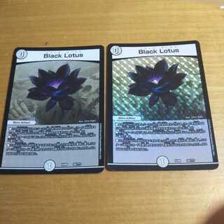 Black Lotus ブラックロータス