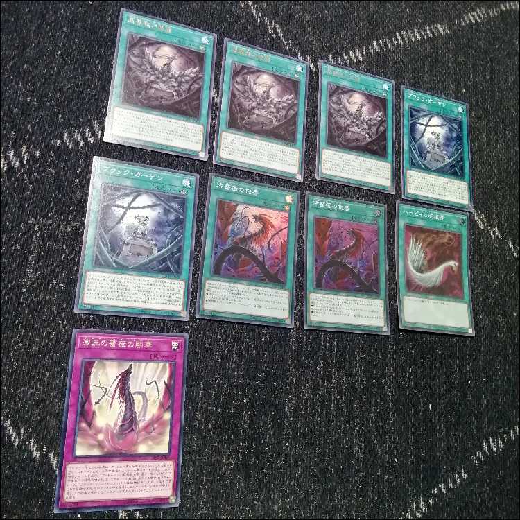 遊戯王 ローズドラゴン デッキ 月華竜 ブラックローズ [03980]の