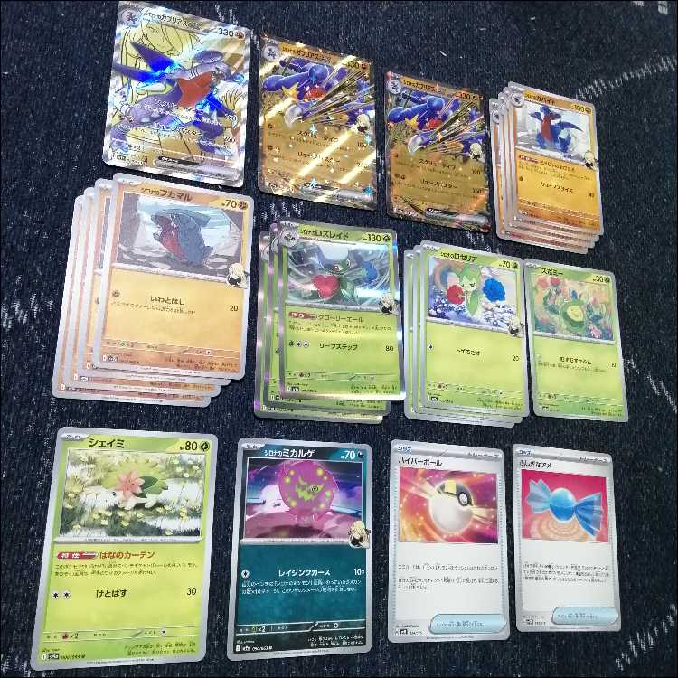 ポケモンカード シロナのガブリアスex デッキ なかよしポフィン