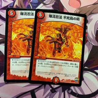 爆流忍法 不死鳥の術 2枚