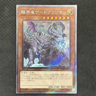 Critical Dragon Gate Bridgio EXSE WPP5-JP074