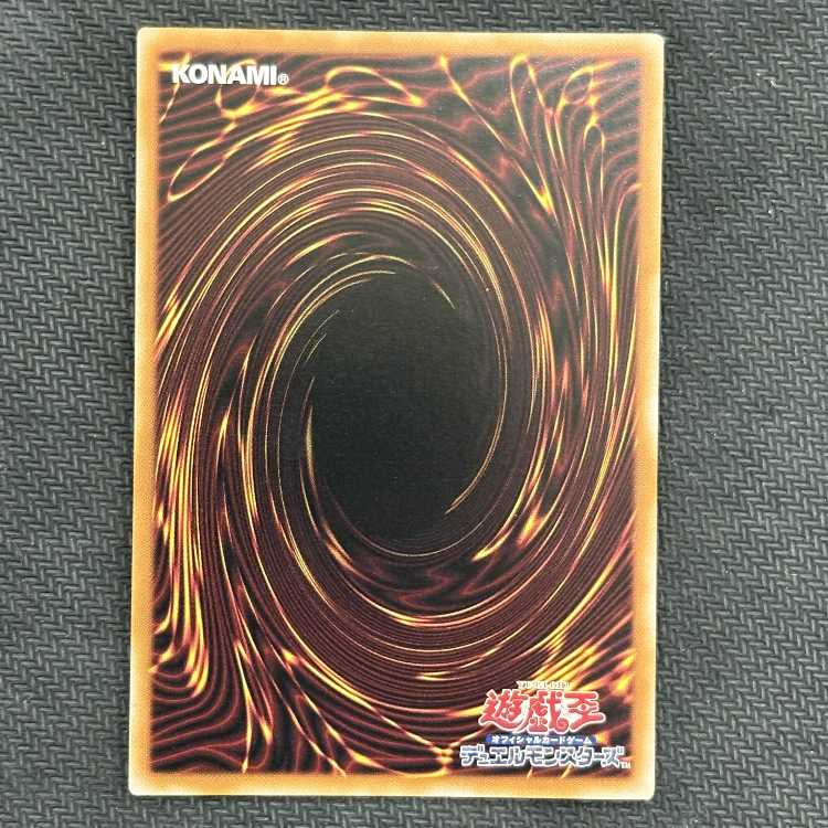 Critical Dragon Gate Bridgio EXSE WPP5-JP074