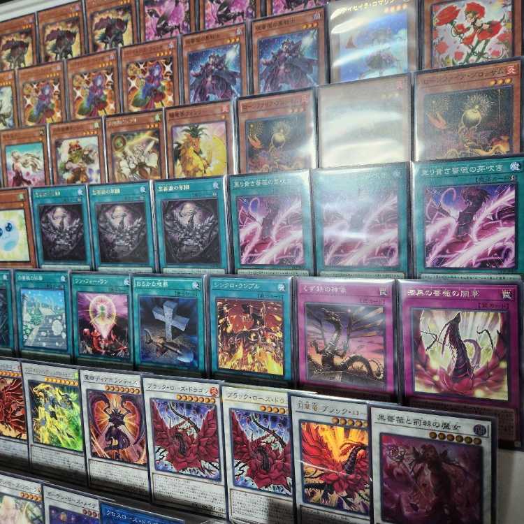 Instant Ship Rose Dragon Deck Constructed Deck Mountain Shop Red Rose Dragon Roxrose Dragon Black Rose Ruination Dragon Black Rose and the Witch of Thorns Black Rose Flower Garden