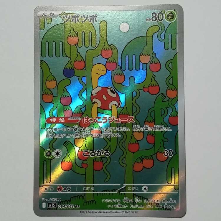 Shuckle 064/063 AR Pokeka Trekker Road