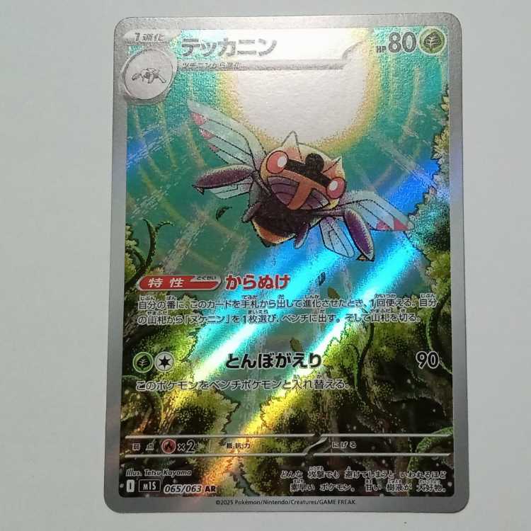 テッカニン 065/063 AR ポケカ トレカ道