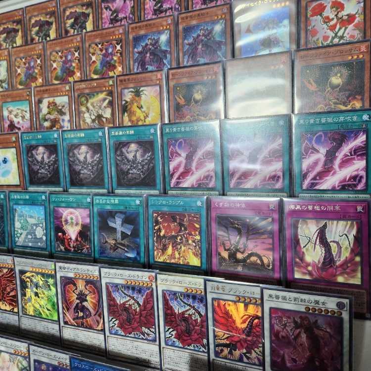 Instant Ship Rose Dragon Deck Constructed Deck Mountain Shop Red Rose Dragon Roxrose Dragon Black Rose Ruination Dragon Black Rose and the Witch of Thorns Black Rose Flower Garden