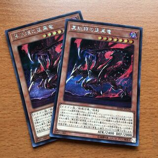 真紅眼の亜黒竜 SE 2枚