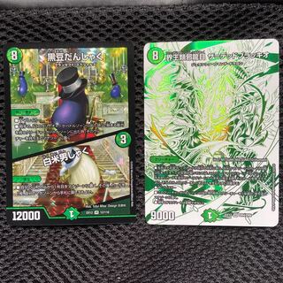 ポキ様専用　ブラッキオ1枚