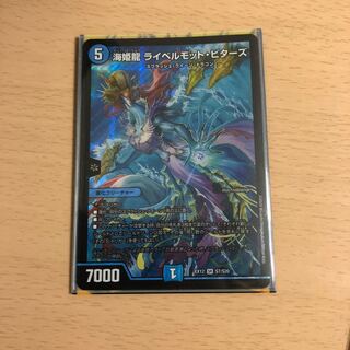 海姫龍 ライベルモット・ビターズ SR