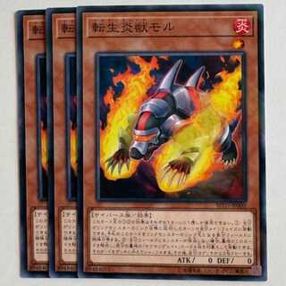 Salamangreat Mole No Para (set of 3) SD35-JP002 Yu-Gi-Oh Trekking Road