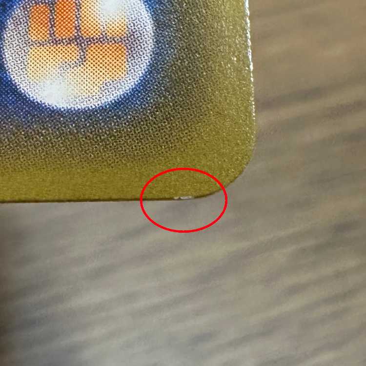 Naganadel&GuzzlordGX SR 102/095 SM12 Pokémon Card Game Pokéka