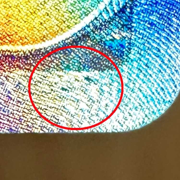 Erika's Invitation SAR 206/165 SV2a Error Item Pokémon Card Game Pokéka