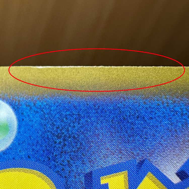 Erika's Invitation SAR 206/165 SV2a Error Item Pokémon Card Game Pokéka