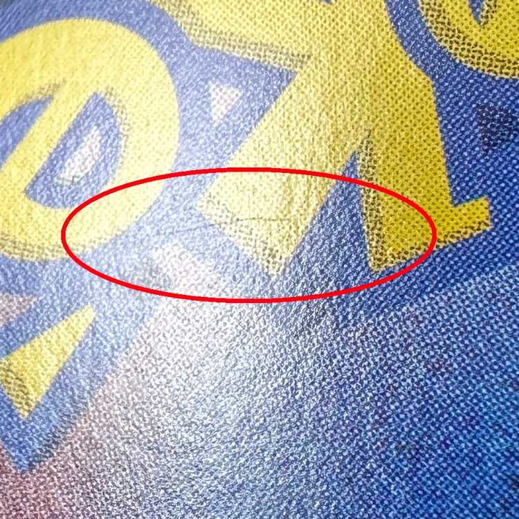 Erika's Invitation SAR 206/165 SV2a Error Item Pokémon Card Game Pokéka