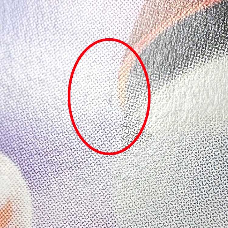 Erika's Invitation SAR 206/165 SV2a Error Item Pokémon Card Game Pokéka