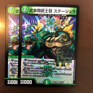 武家類武士目 ステージュラ