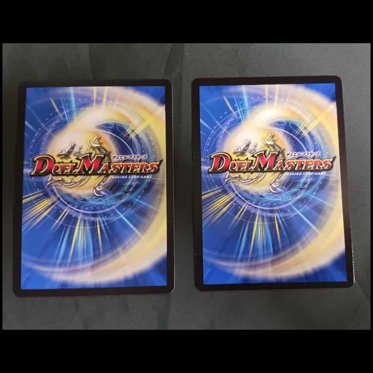 地龍仙ロマネアース｜仙なる大地 SR 14/130　2枚