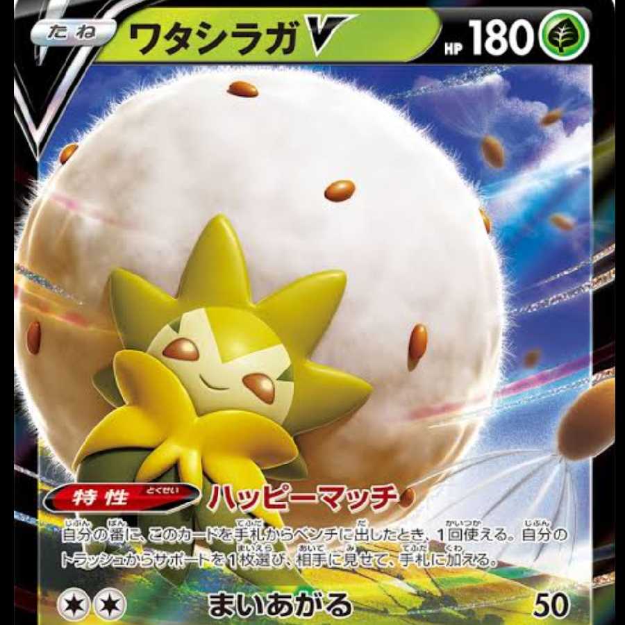 2枚セット ワタシラガV