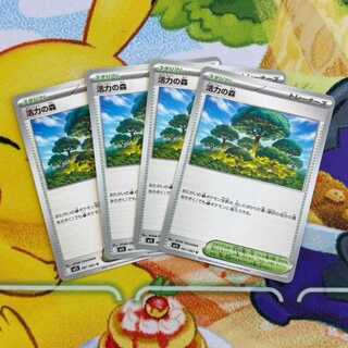 S37   　活力の森　U　061/063