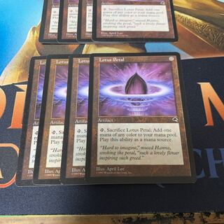 Lotus Petal / 水蓮の花びら